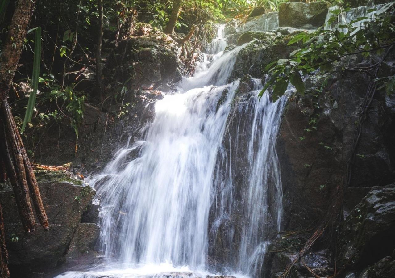 Hilltop Wellness Resort Kathu Bagian luar foto